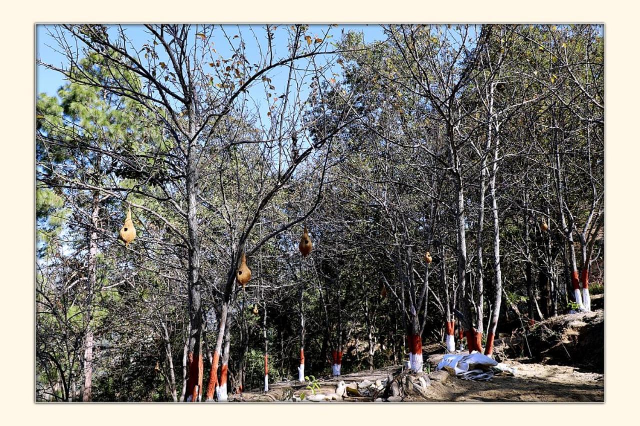 فندق The Ranikhet Continental المظهر الخارجي الصورة