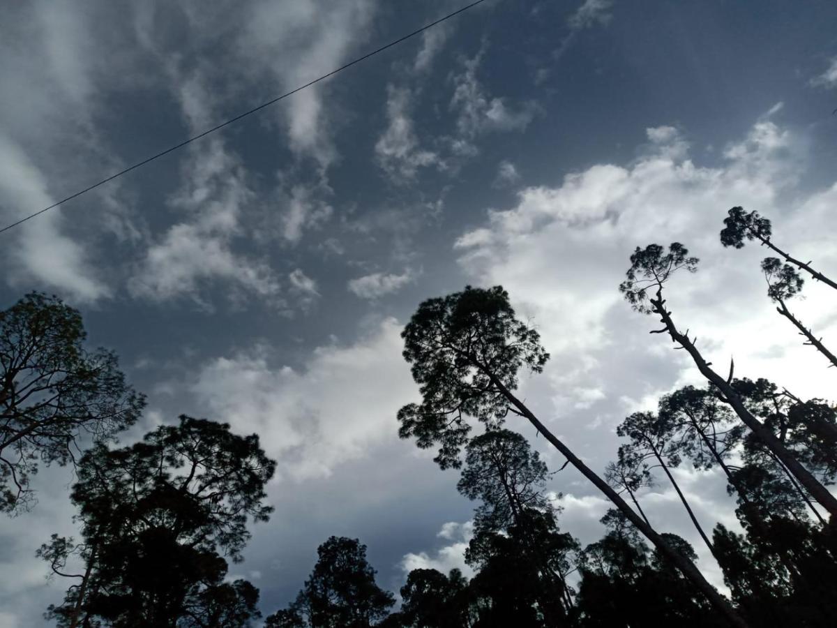 فندق The Ranikhet Continental المظهر الخارجي الصورة