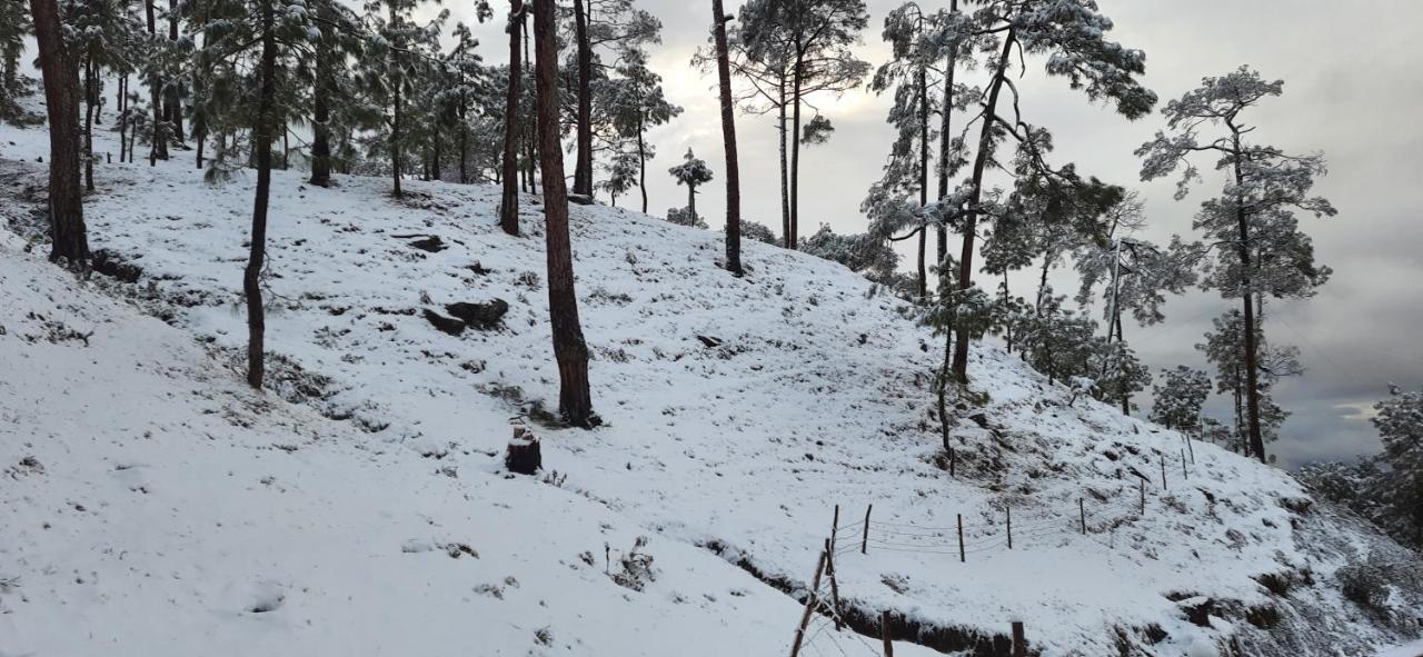 فندق The Ranikhet Continental المظهر الخارجي الصورة