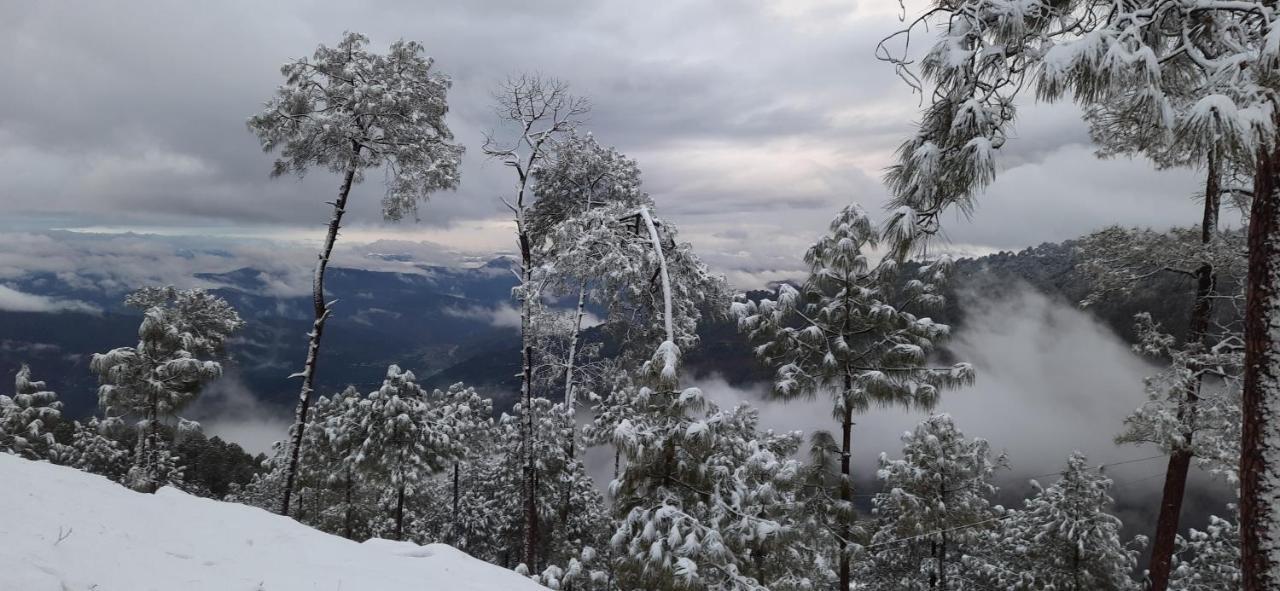 فندق The Ranikhet Continental المظهر الخارجي الصورة