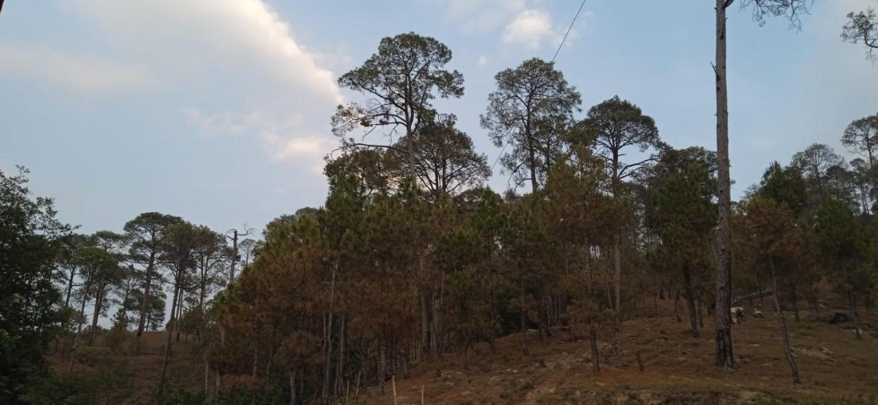 فندق The Ranikhet Continental المظهر الخارجي الصورة